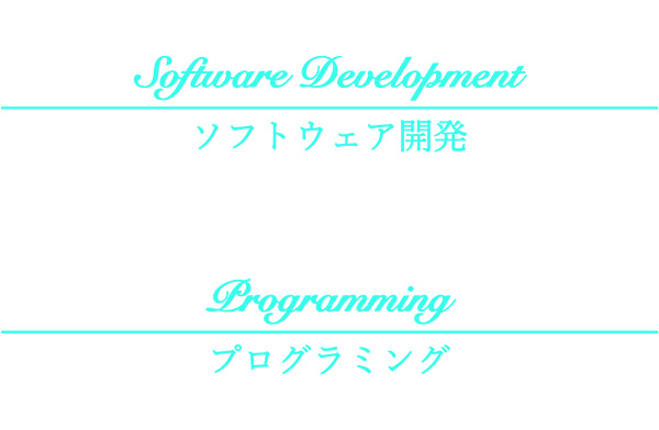 プログラム＆ソフト開発